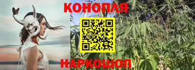 гидропоника Гусев