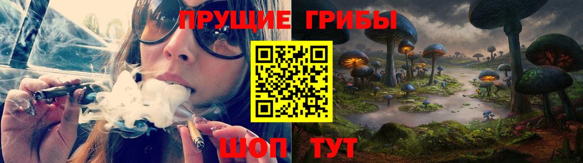 Златоуст  Псилоцибиновые грибы GOLDEN TEACHER  наркота  Вход с VPN 